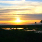 Florida based company.