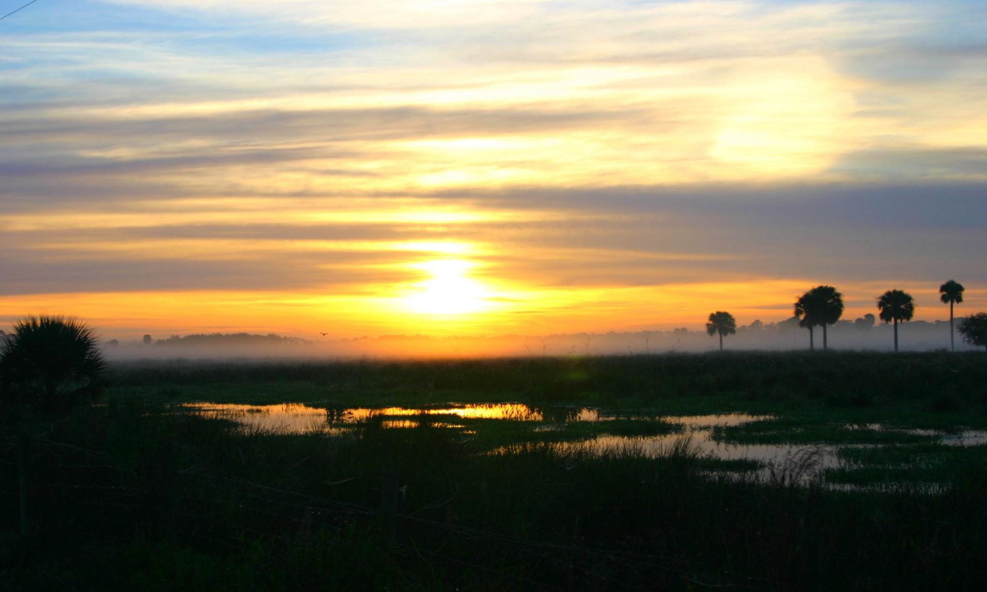 Florida based company.