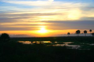 Florida based company.